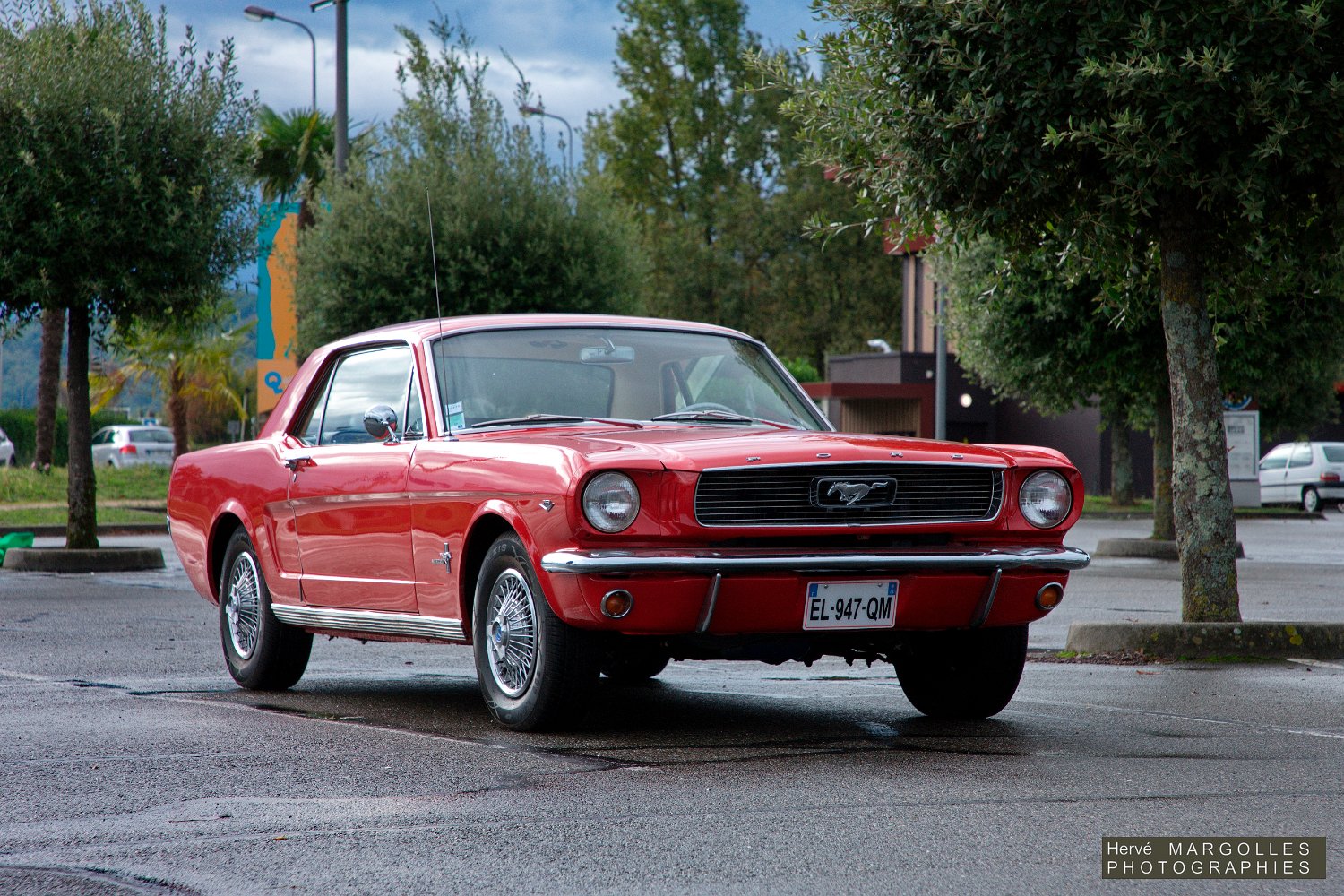 Ford Mustang-03.jpg